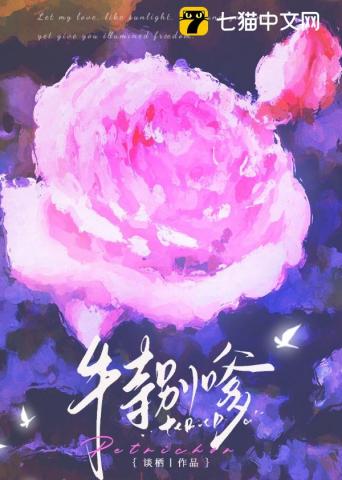 《不务正夜》全集下载