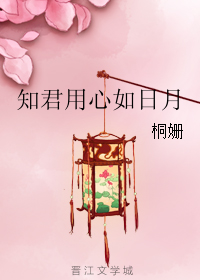 《知君用心如日月》全集下载