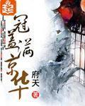 《冠盖满京华》全集下载 《冠盖满京华》全集下载