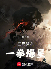 《三尺微命，一拳爆星》全集下载