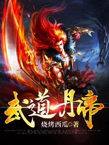 《武道丹帝》全集下载