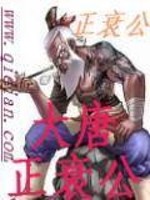 《大唐正衰公》全集下载