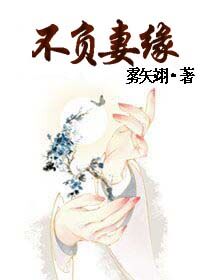 《不负妻缘》全集下载 《不负妻缘》全集下载
