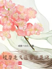 《快穿:被夺走气运者逆袭记》全集下载 《快穿:被夺走气运者逆袭记》全集下载