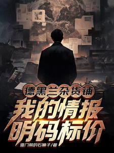 《德黑兰杂货铺:我的情报明码标价》全集下载 《德黑兰杂货铺:我的情报明码标价》全集下载