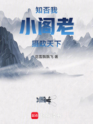 《知否:我,小阁老,摄政天下》全集下载 《知否:我,小阁老,摄政天下》全集下载