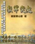 《毅军突起》全集下载