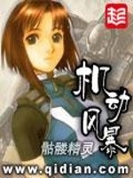 《机动风暴》全集下载