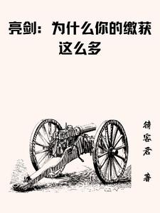 《亮剑：为什么你的缴获这么多》全集下载