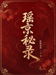 《瑶京秘录》全集下载