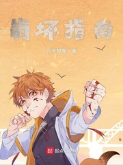 《崩坏指南》全集下载 《崩坏指南》全集下载