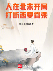 《人在北宋,开局打断西夏脊梁!》全集下载 《人在北宋,开局打断西夏脊梁!》全集下载