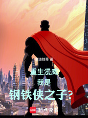 《重生漫威,我是钢铁侠之子?》全集下载 《重生漫威,我是钢铁侠之子?》全集下载