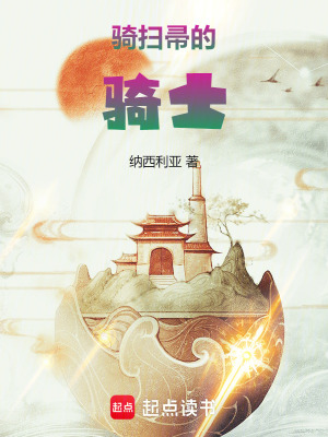 《尊敬的扫帚骑士大人》全集下载