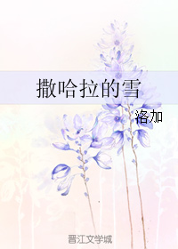《撒哈拉的雪》全集下载