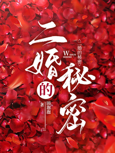 《二婚的秘密》全集下载 《二婚的秘密》全集下载
