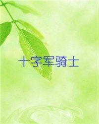 《十字军骑士》全集下载