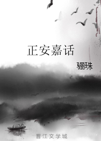 《正安嘉话》全集下载