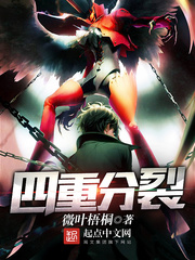 《四重分裂》全集下载 《四重分裂》全集下载