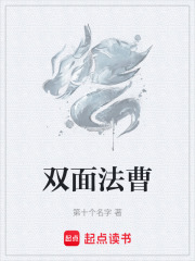 《双面法曹》全集下载