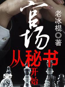 《官场从秘书开始》全集下载 《官场从秘书开始》全集下载
