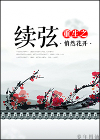《重生之续弦》全集下载 《重生之续弦》全集下载