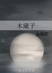 《木藏子》全集下载