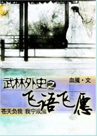 《穿越武林外史之飞语飞愿》全集下载