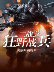 《二战之狂野战兵》全集下载 《二战之狂野战兵》全集下载