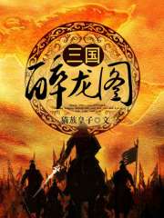 《三国醉龙图》全集下载