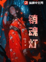 《销魂灯》全集下载