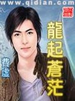 《龙起苍茫》全集下载 《龙起苍茫》全集下载