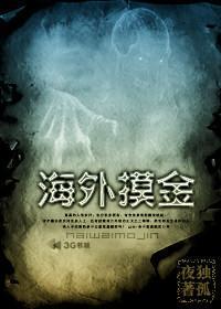 《海外摸金》全集下载 《海外摸金》全集下载