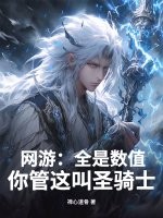 《网游:全是数值,你管这叫圣骑士?》全集下载 《网游:全是数值,你管这叫圣骑士?》全集下载