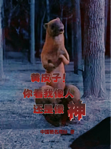 《黄皮子!你看我像人还是像神?》全集下载 《黄皮子!你看我像人还是像神?》全集下载