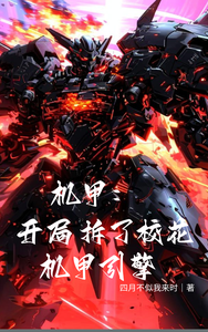 《机甲：开局拆了校花机甲引擎》全集下载