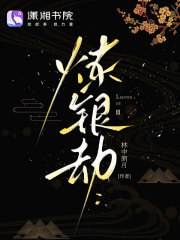 《炼银劫》全集下载