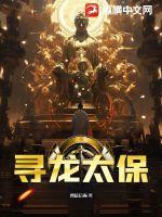 《寻龙太保》全集下载 《寻龙太保》全集下载