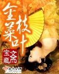 《金枝菜叶》全集下载 《金枝菜叶》全集下载