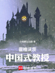 《霍格沃茨:中国式教授》全集下载 《霍格沃茨:中国式教授》全集下载