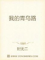 《我的青乌路》全集下载