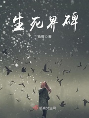 《生死界碑》全集下载