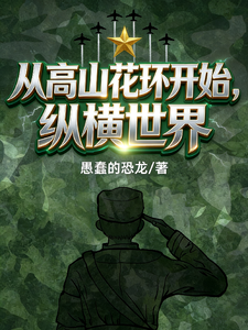 《从高山花环开始纵横世界》全集下载 《从高山花环开始纵横世界》全集下载