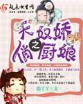 《天奴娇之俏厨娘》全集下载 《天奴娇之俏厨娘》全集下载