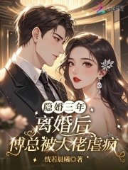 《隐婚三年，离婚后傅总被大佬虐疯》全集下载
