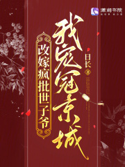 《改嫁疯批世子爷，我宠冠京城》全集下载
