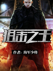 《狙击之王》全集下载