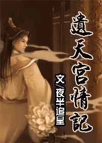 《遗天宫情记》全集下载 《遗天宫情记》全集下载