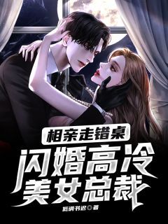 《我的闪婚女总裁》全集下载