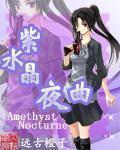 《紫水晶夜曲》全集下载 《紫水晶夜曲》全集下载